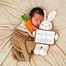 newborn, baby, sleeping, blanket, brown_blanket, crocheted_carrot, stuffed_bunny, sign, my_first_easter, soft_texture, beige_background, cute, holiday, easter, infant, child, wrapped, cozy, toy, resting