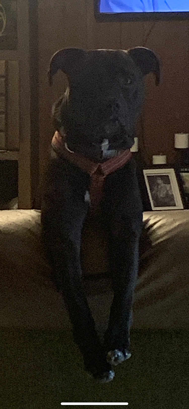 Roscoe