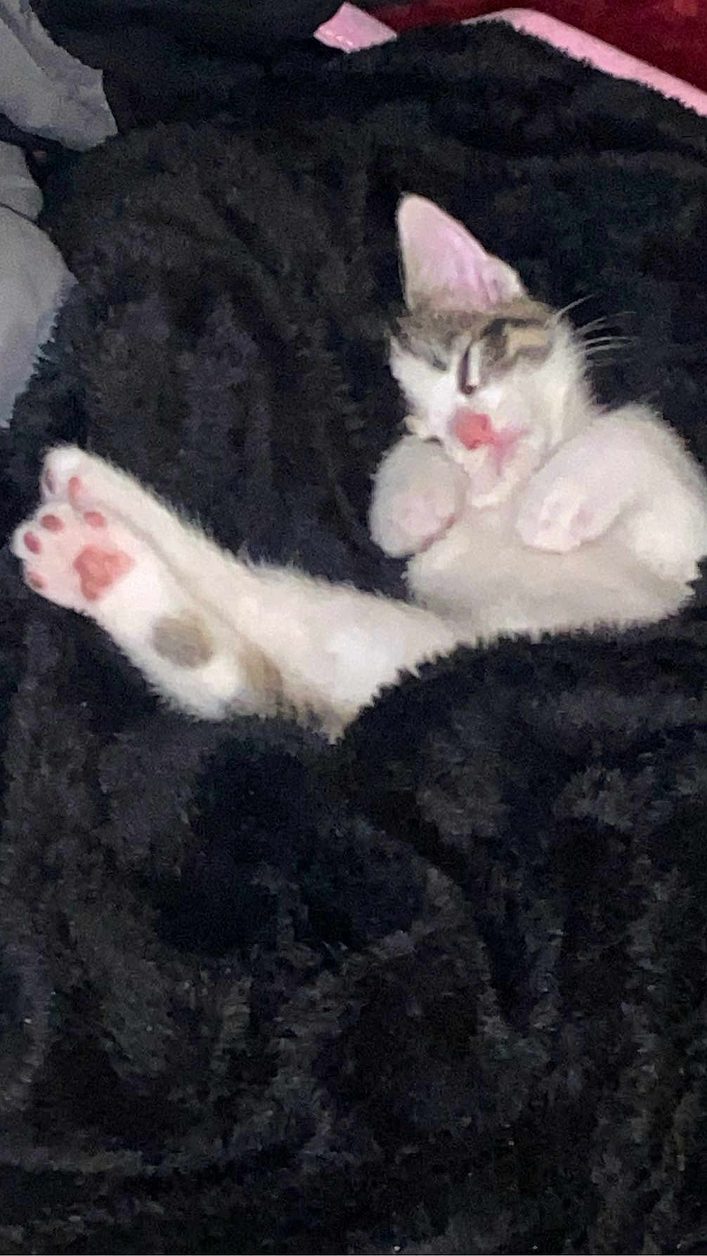 Lena