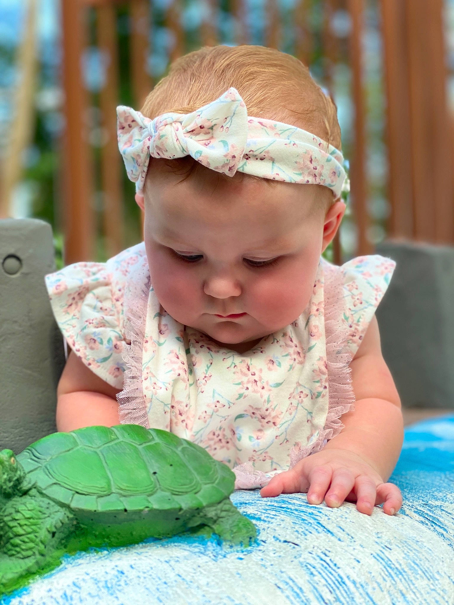 Brynnlee joined the competition — help win amazing prizes! baby, baby_toddler_clothing, cabbage, child, hair_accessory, headband, headgear, person, play, reptile, sea_turtle, toddler, tortoise, tummy_time, turtle