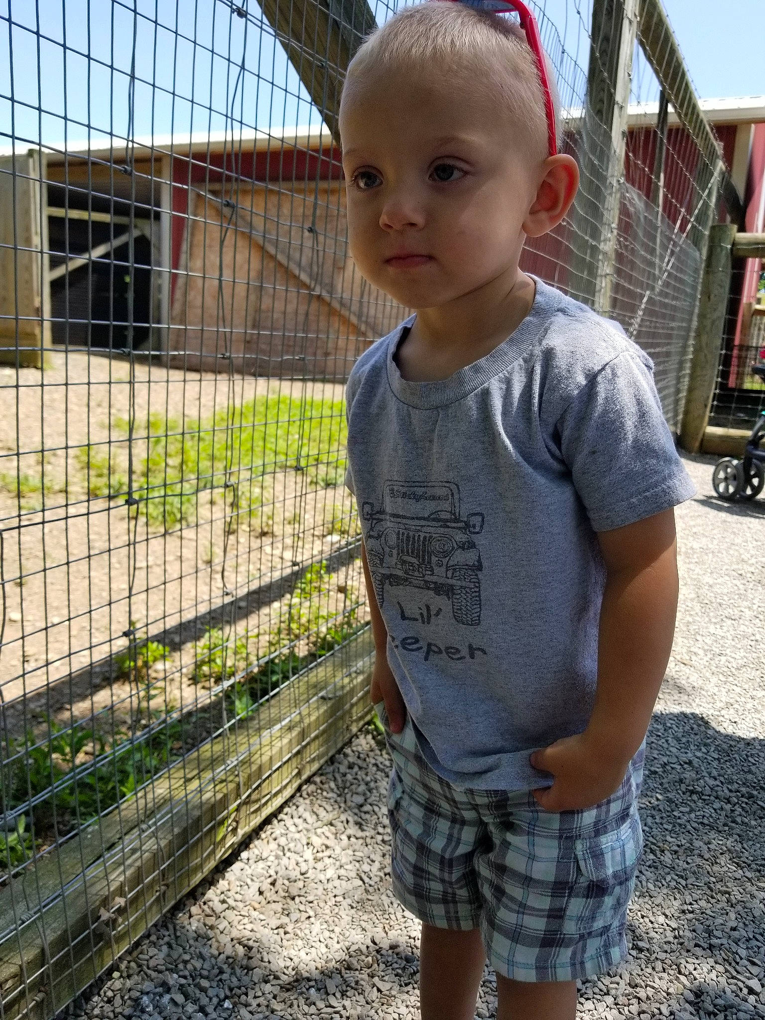 Chase is registered to the contest to win money with this photo: child, design, fawn, pattern, person, play, smile, t_shirt, toddler, vacation