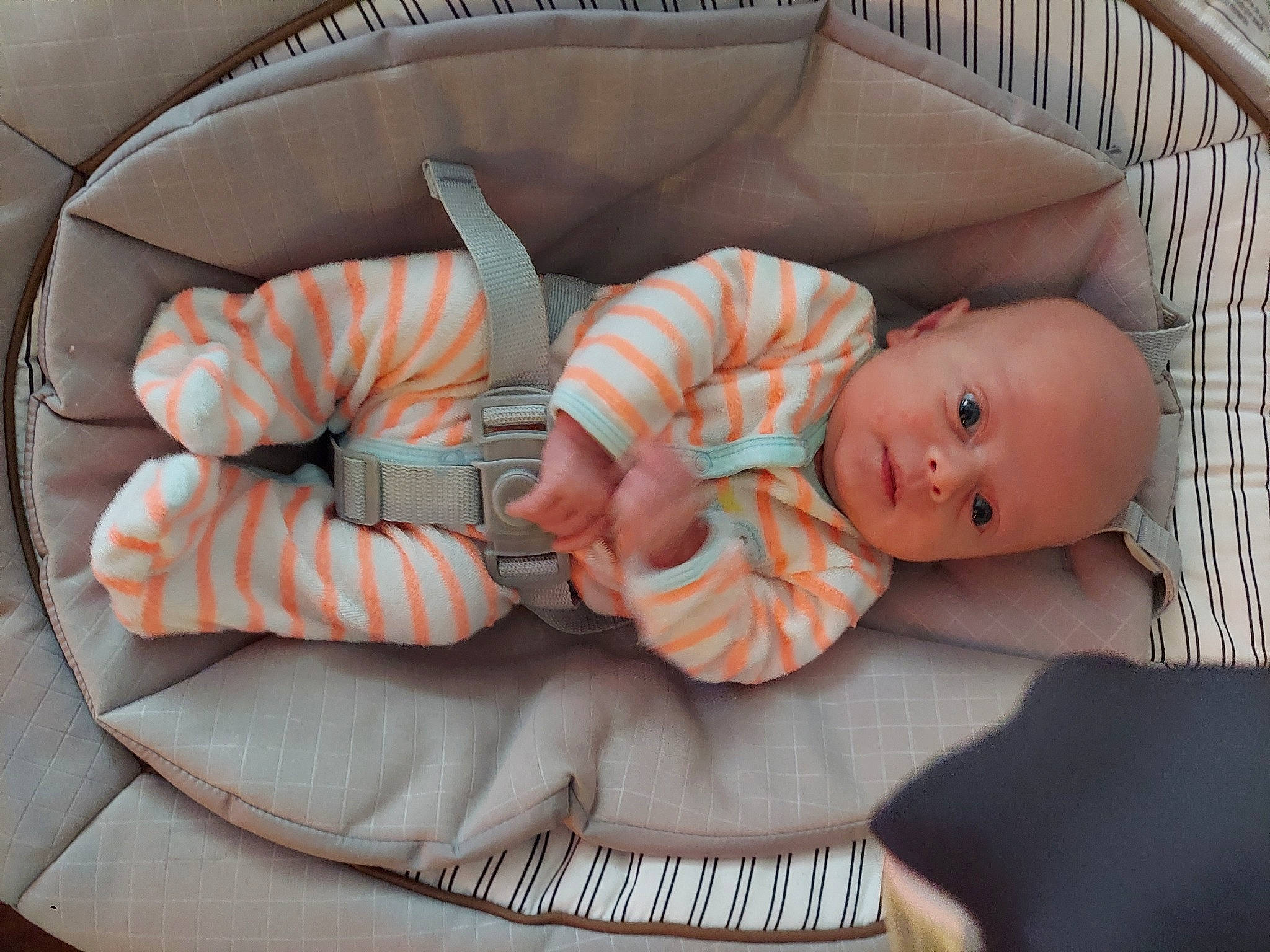 Evander joined the competition — help win amazing prizes! baby, baby_products, baby_safety, baby_sleeping, baby_toddler_clothing, baby_toys, child, comfort, fashion_accessory, infant_bed, linens, nap, orange, pattern, person, pink, room, sleep, textile, toddler
