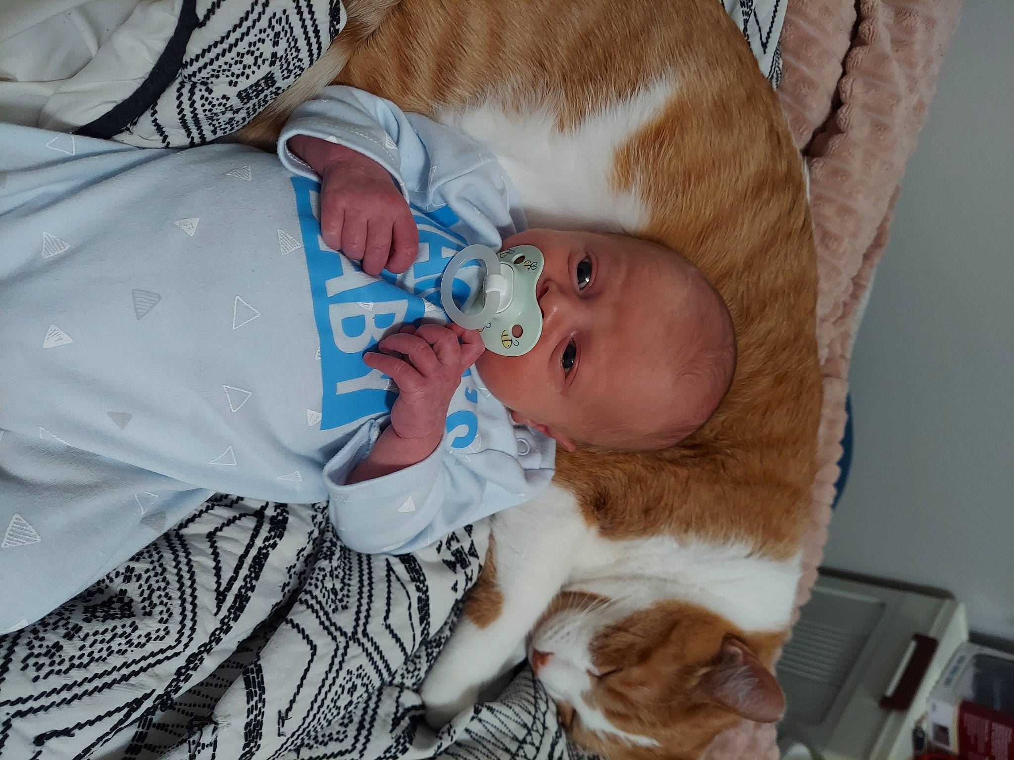 Evander joined the competition — help win amazing prizes! baby, baby_products, baby_toddler_clothing, cat, child, comfort, companion_dog, felidae, fur, happy, hat, lap, pattern, person, small_to_medium_sized_cats, smile, tail, toddler, whiskers
