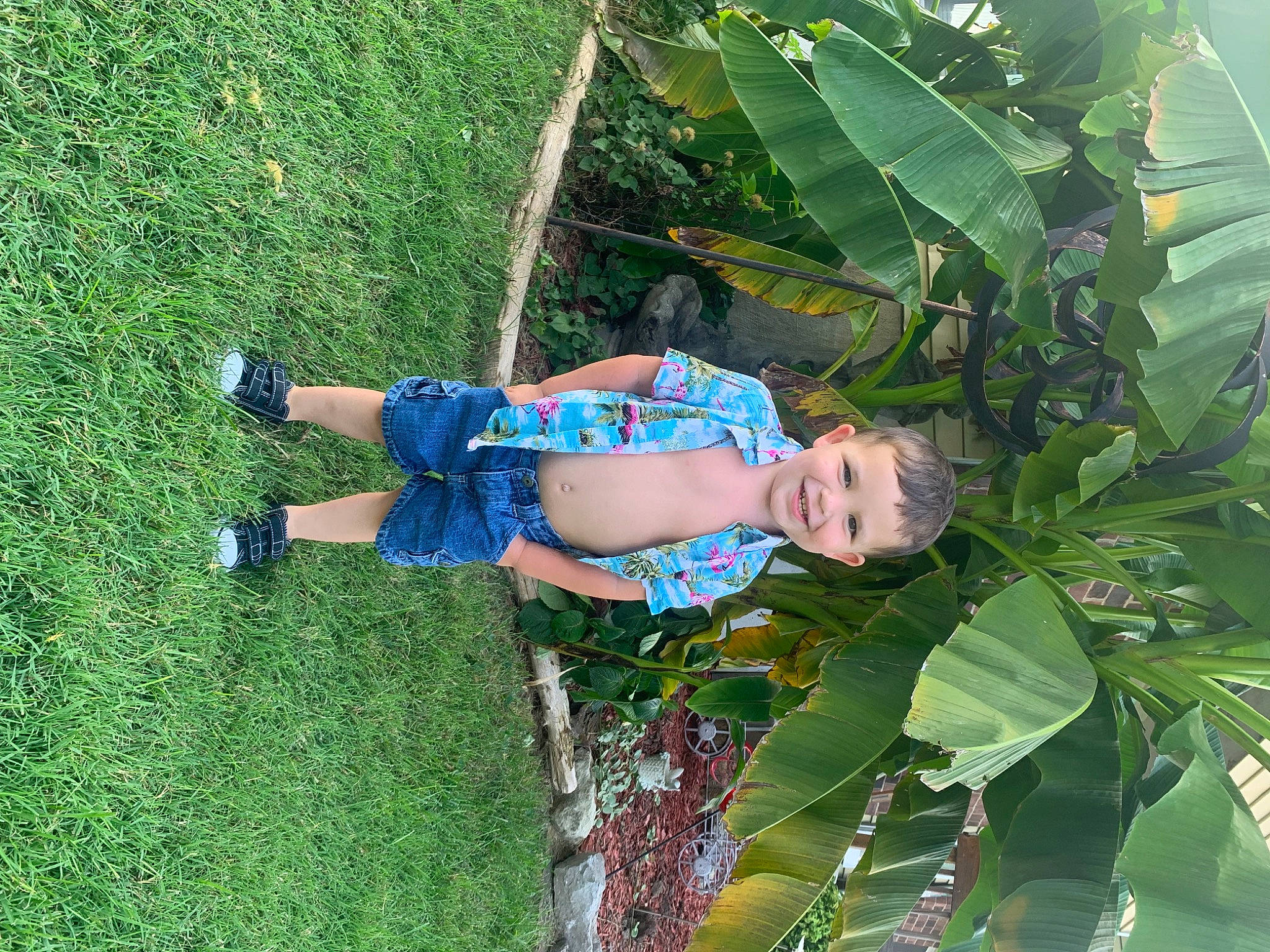 Anthony is registered to the contest to win money with this photo: arecales, banana_family, banana_leaf, elbow, electric_blue, flowering_plant, fun, grass, grassland, green, happy, human_leg, joy, leisure, pattern, people_in_nature, person, plant, sandal, terrestrial_plant