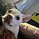 Paco