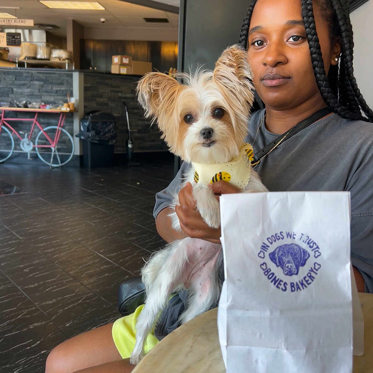 Lexie is registered to the contest to win money with this photo: bicycle_wheel, canidae, carnivore, child, companion_dog, costume, dog, dog_breed, dog_clothes, dog_supply, fashion_accessory, flooring, fun, fur, small_terrier, sporting_group, t_shirt, tire, toy_dog, wheel