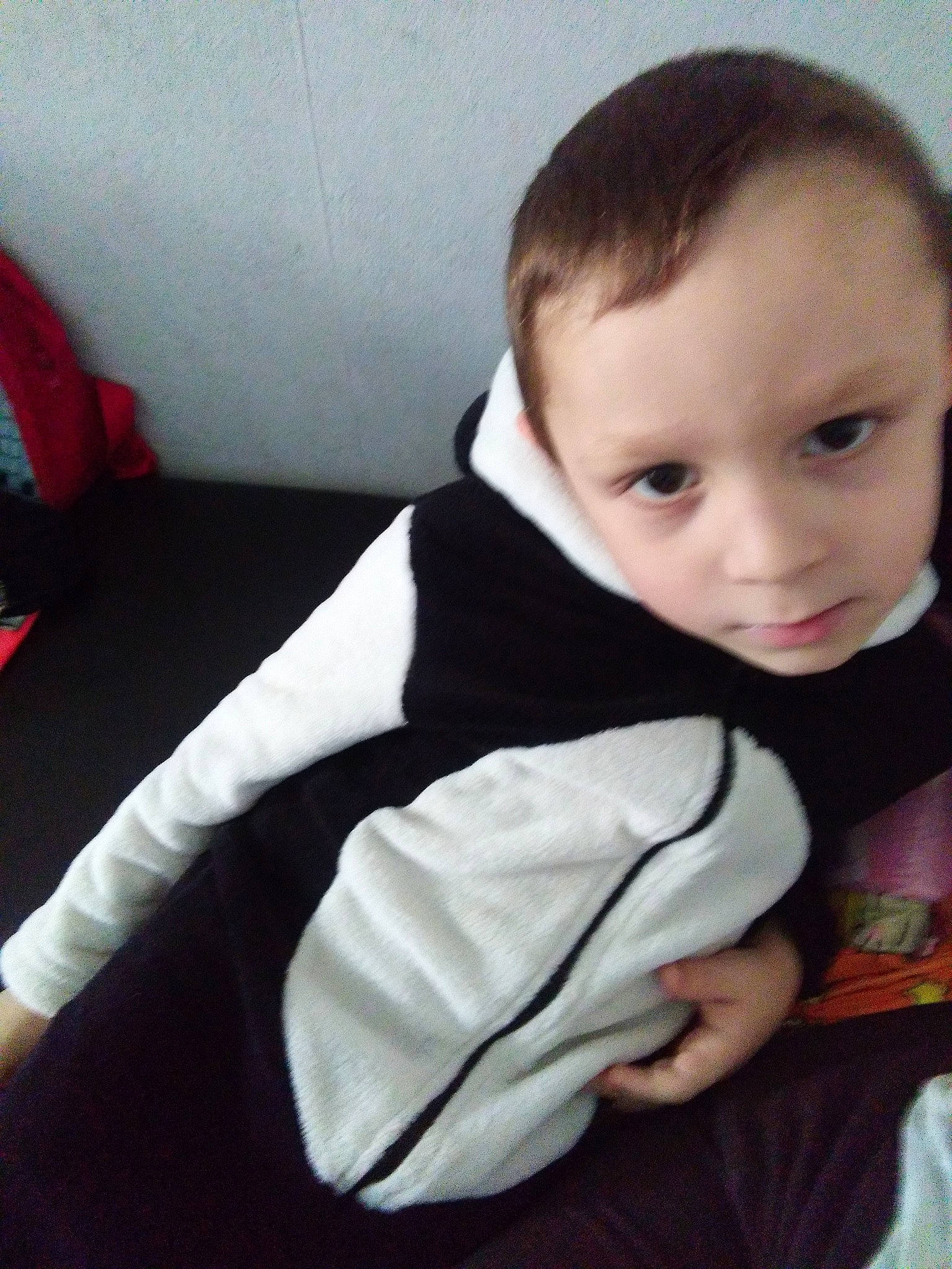 Nolan participe au concours pour gagner de l'argent avec cette photo : arm, baby, cheek, child, head, joint, leg, nose, outerwear, person, shoulder, skin, sleeve, smile, toddler