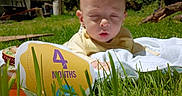 Connor is registered to the contest to win money with this photo: 4_months, baby, baby_clothes, blanket, closeup, cute, face, grass, greenery, head, infant, milestone_card, nature, outdoor, person, portrait, resting, summer, sunlight, young_child