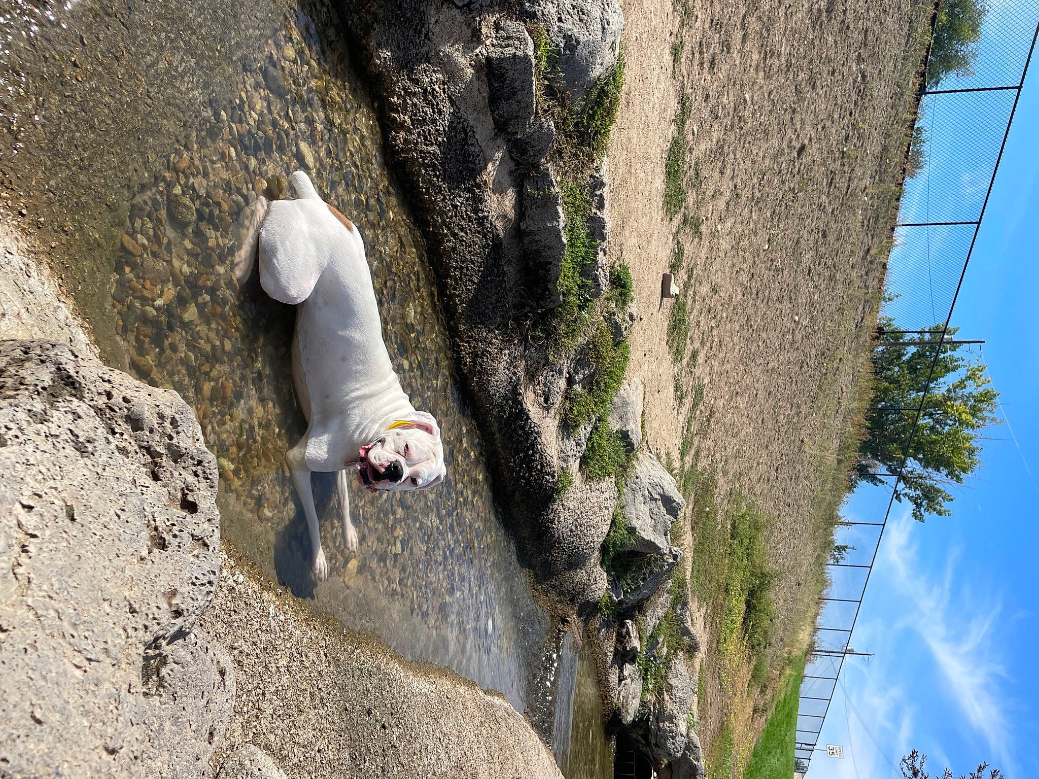 Bowser joined the competition — help win amazing prizes! adventure, bedrock, climbing, cloud, extreme_sport, fault, formation, geological_phenomenon, leisure, outcrop, plant, recreation, rock, rock_climbing_equipment, sky, sport_climbing, terrain, tree, trunk, wood