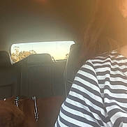 Marino is registered to the contest to win money with this photo: animal, back_seat, brown_dog, car_interior, casual_clothing, daylight, dog, fabric, human_partial, leather_seat, person, pet, resting, road_trip, seat, seatbelt, striped_shirt, sunlight, travel, window