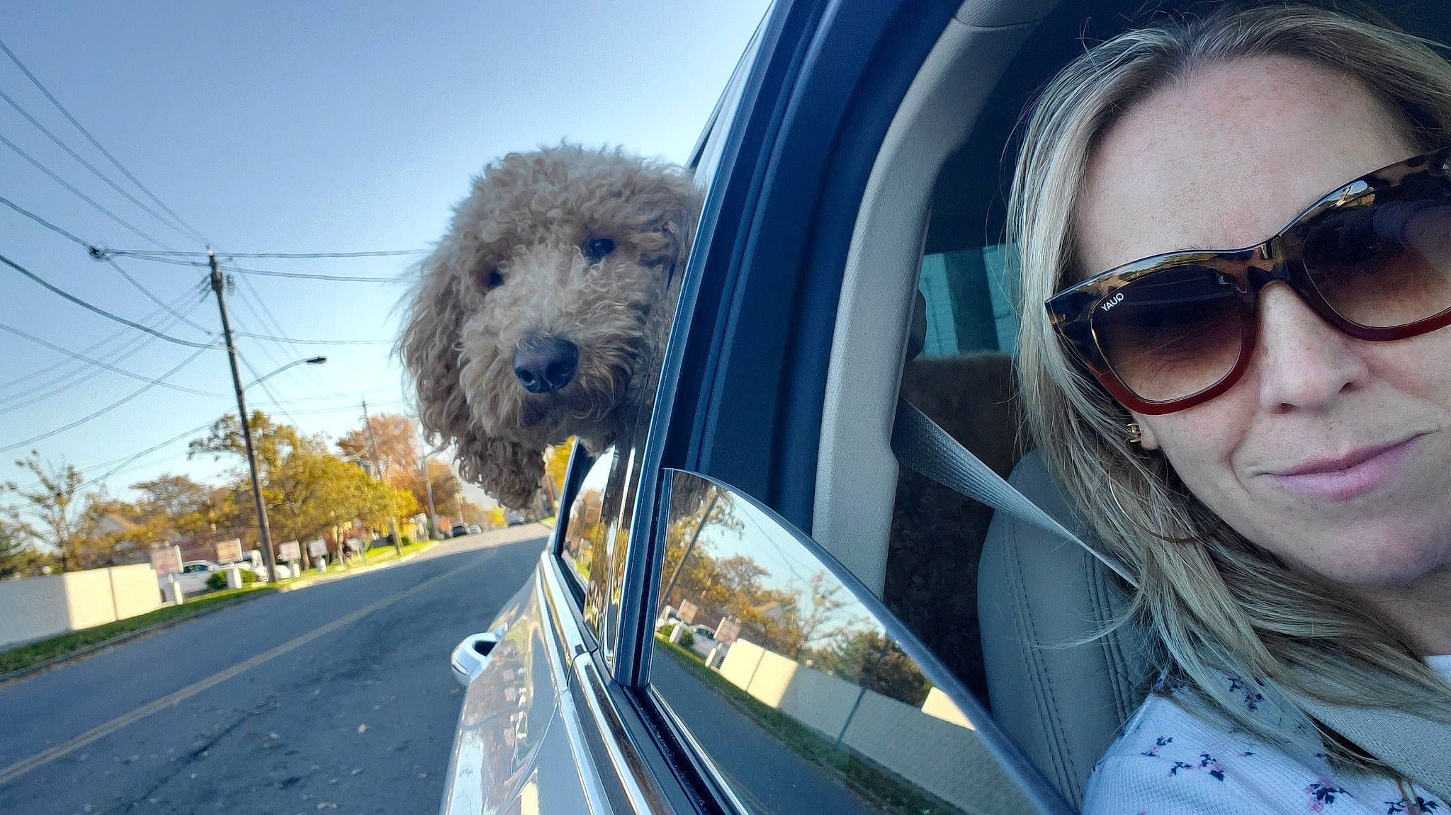 Marty Mcfly joined the competition — help win amazing prizes! automotive_exterior, automotive_lighting, automotive_mirror, car, carnivore, dog, eyewear, goggles, motor_vehicle, personal_luxury_car, rear_view_mirror, sky, street_fashion, street_light, sunglasses, tree, vehicle, vehicle_door, vertebrate, vision_care