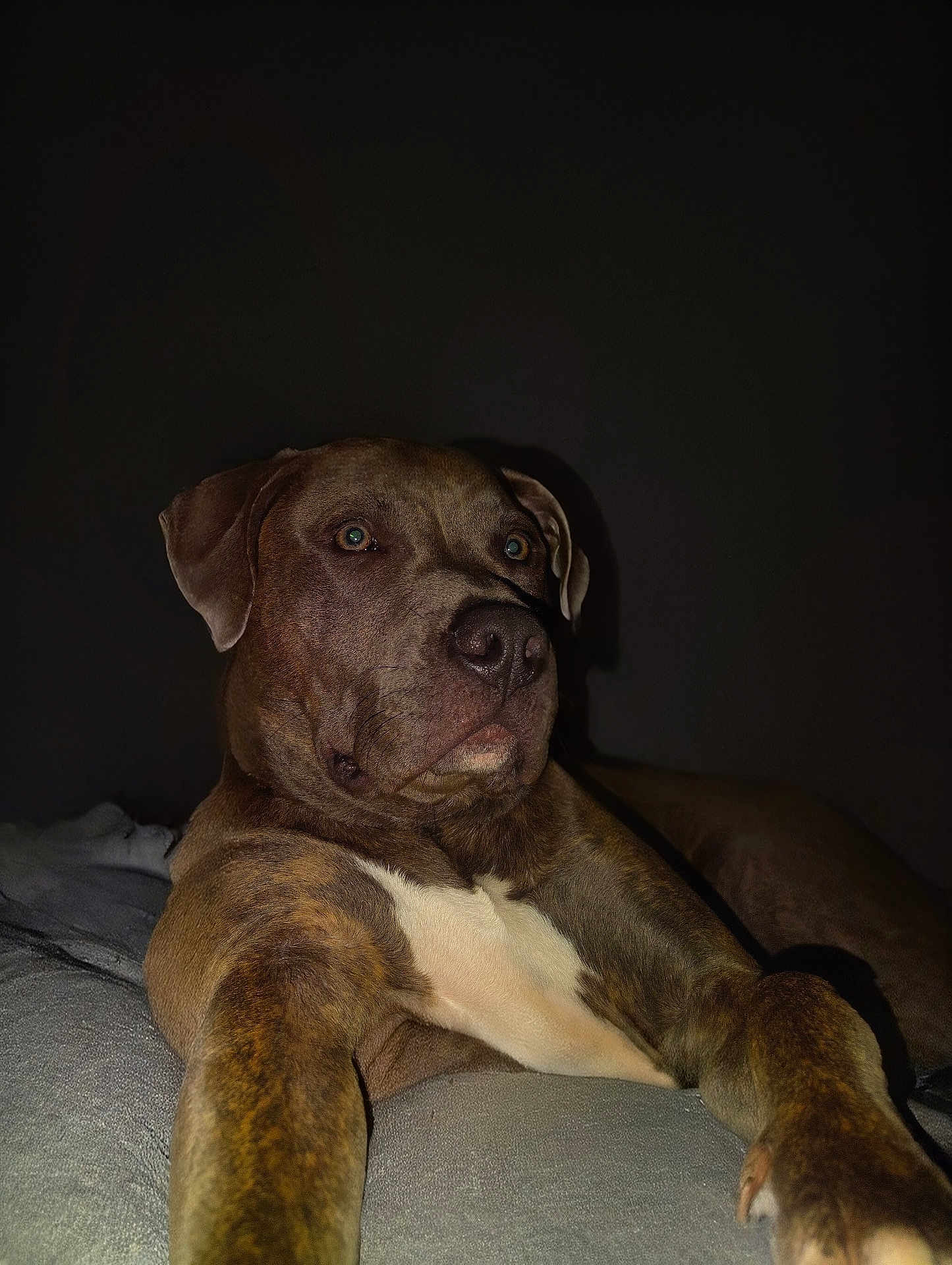 Tyson