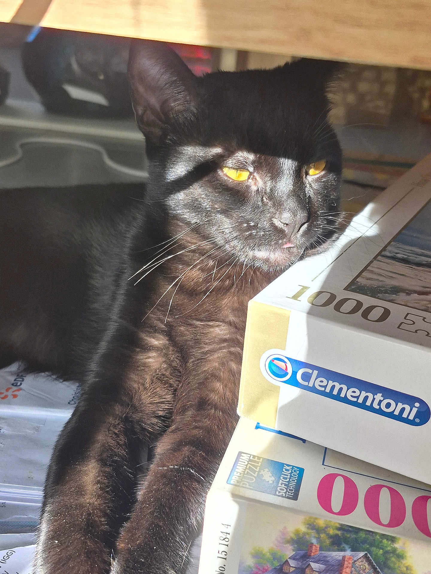 Tao a rejoint le concours — aidez-le/la à gagner de superbes lots ! cat, black_cat, pet, animal, indoor, sunlight, yellow_eyes, relaxed, puzzle_boxes, stack, furniture, table, closeup, whiskers, fur, domestic_cat, resting, household, cozy, shadow