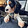 Toby