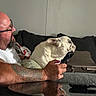 man, tattoo, glasses, dog, french_bulldog, remote_control, couch, blanket, mirror, arm, beard, indoor, relaxing, side_profile, table, reflection, living_room, pet, casual, resting