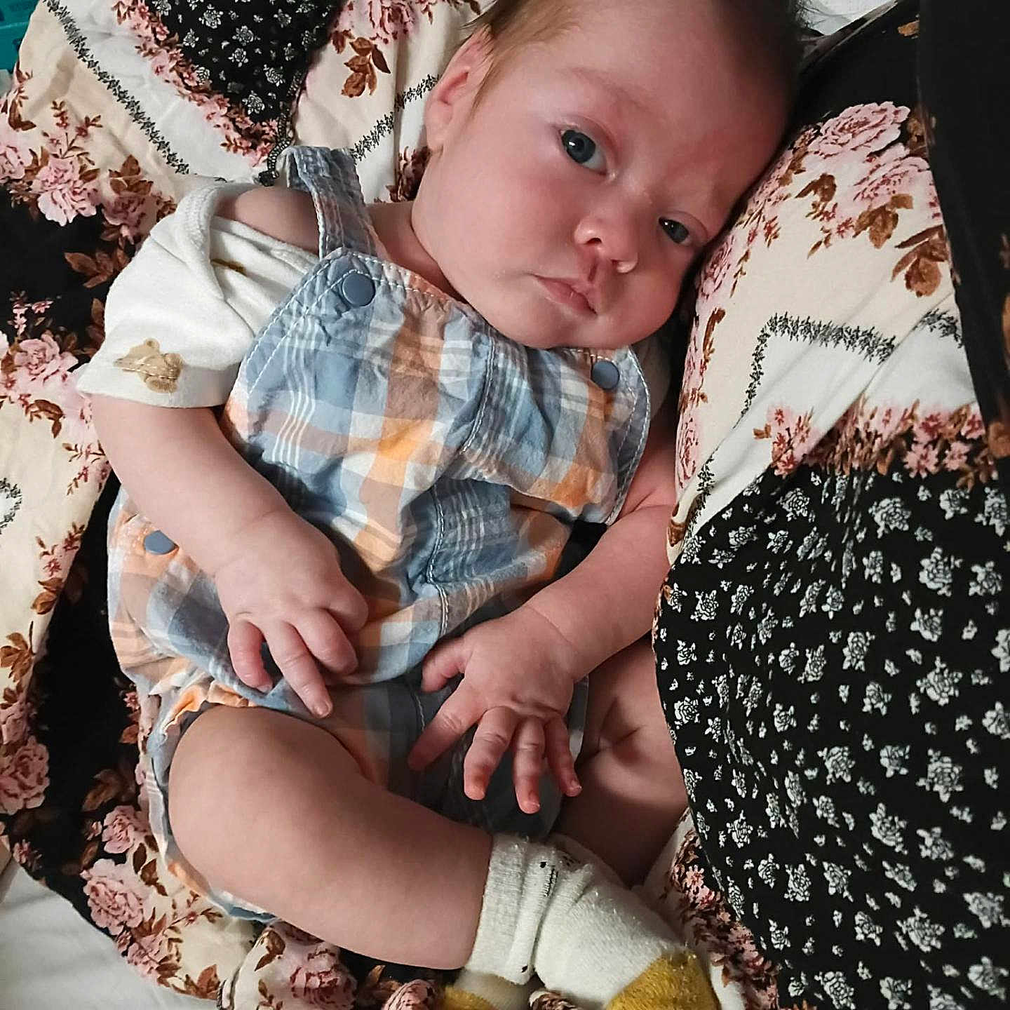 Alexander