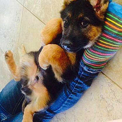 Diesal Bajric is registered to the contest to win money with this photo: