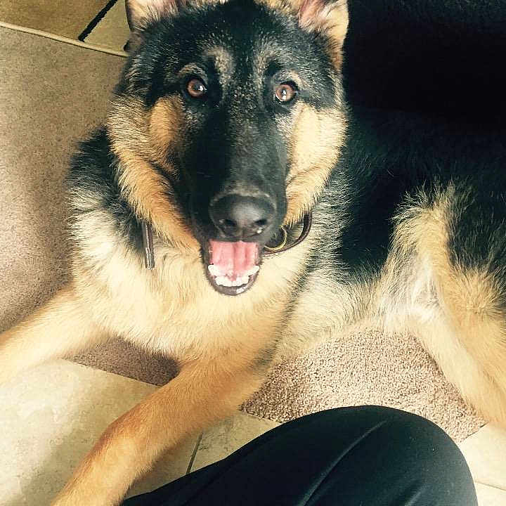 Diesel