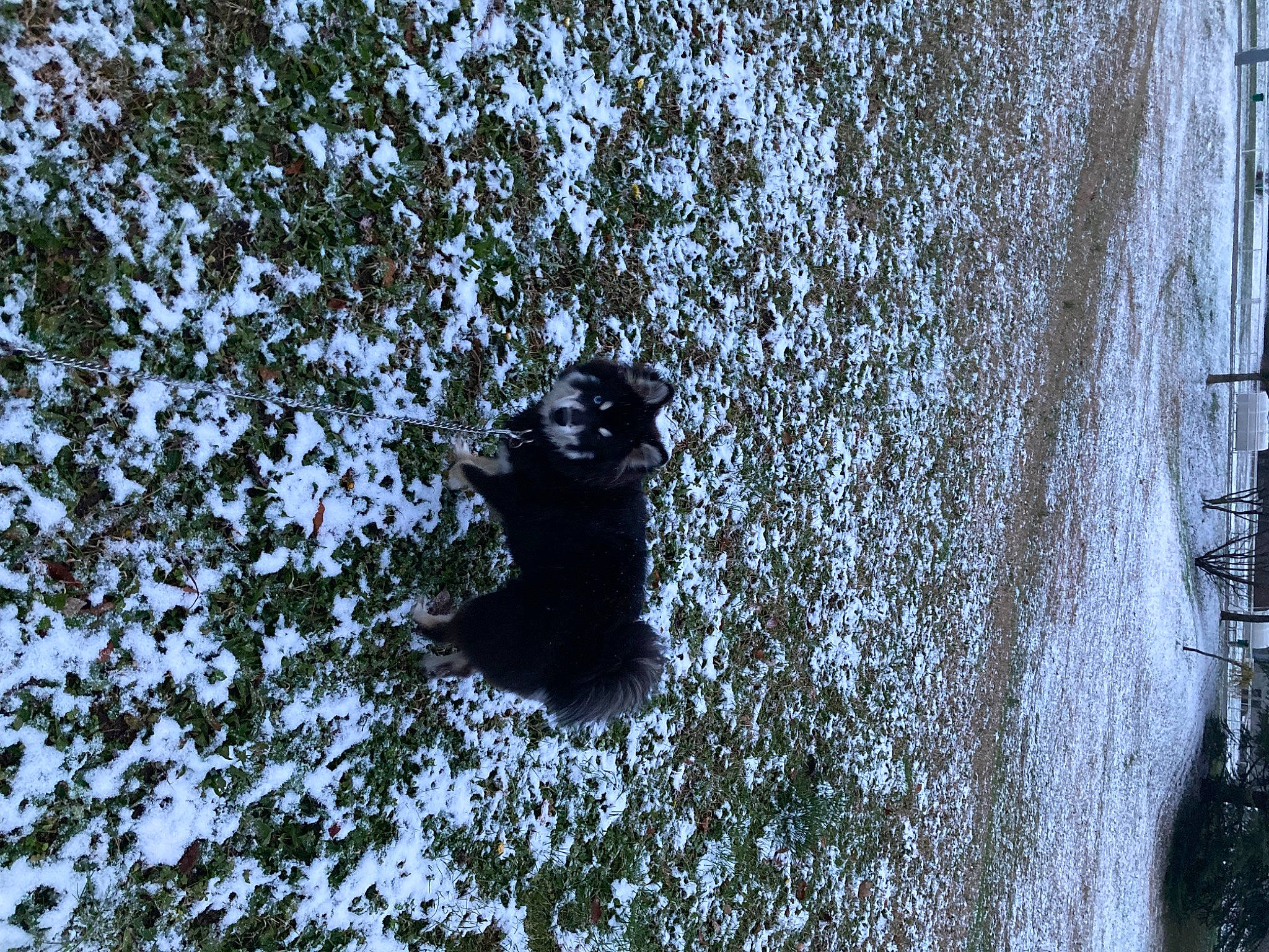 Taïko participe au concours pour gagner de l'argent avec cette photo : art, electric_blue, freezing, frost, grass, metal, plant, recreation, reflection, shadow, shrub, sky, snow, soil, tree, trunk, twig, water, winter, wood