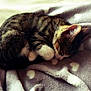 Harper participe au concours pour gagner de l'argent avec cette photo :