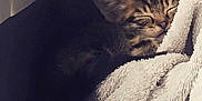 Bobby participe au concours pour gagner de l'argent avec cette photo :