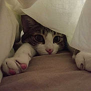 Harper participe au concours pour gagner de l'argent avec cette photo :
