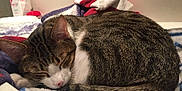 Harper participe au concours pour gagner de l'argent avec cette photo :
