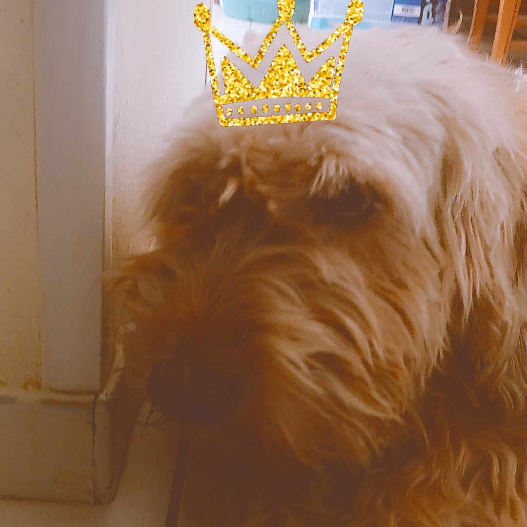 Princesses