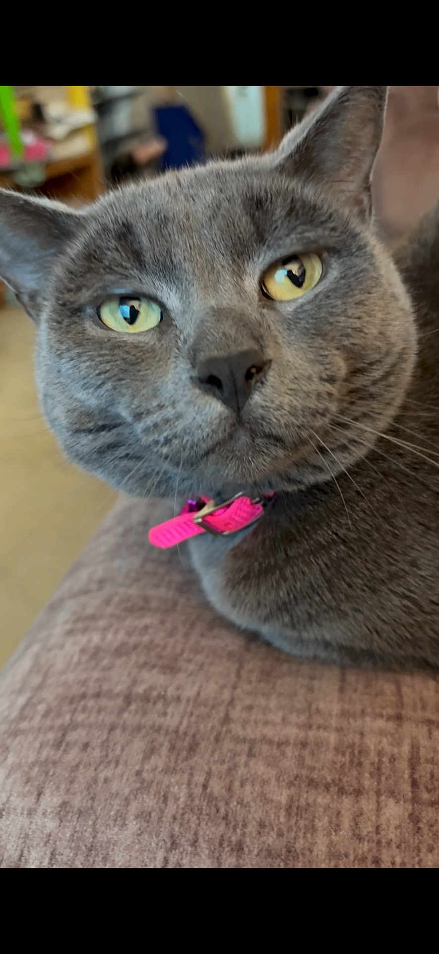 Angel