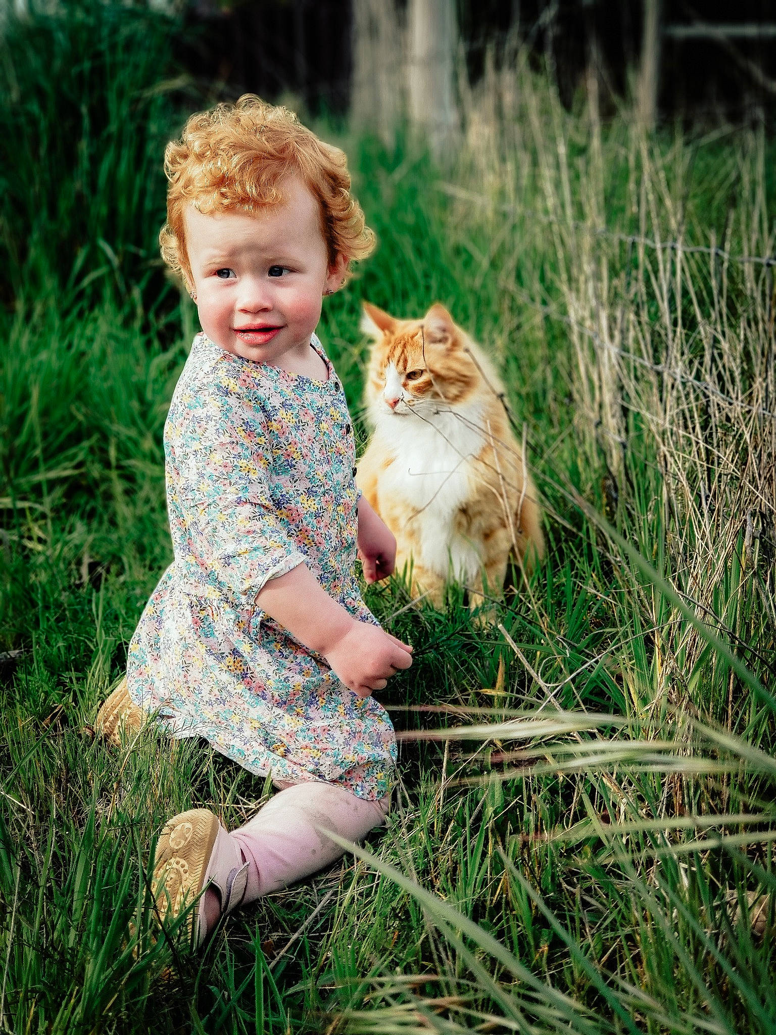 Maisy joined the competition — help win amazing prizes! carnivore, cat, child, fawn, felidae, fur, grass, grass_family, long_hair, meadow, person, photography, plant, play, sitting, small_to_medium_sized_cats, toddler
