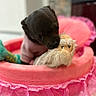 puppy, dog, black_dog, animal, pet, plush_toy, stuffed_animal, pink_bed, pet_bed, indoor, closeup, portrait, sleepy, cute, playful, chewing, lying_down, soft_toy, pink, photography