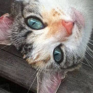 Cali is registered to the contest to win money with this photo: