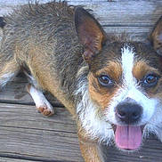 Capone is registered to the contest to win money with this photo: