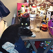 Tiny joined the competition — help win amazing prizes! animal, bedside, black_and_white, bottle, cable, can, cat, clutter, curtain, fabric, furniture, glass, indoor, lamp, notebook, pet, plastic_bottle, purple_bucket, resting, table