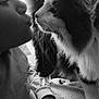 Herman is registered to the contest to win money with this photo: black_and_white, cat, person, face, whiskers, close_up, indoor, pet, affection, nose, fur, animal, human, love, soft_light, cuddle, intimate, cozy, bed, sleeve