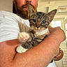 man, beard, white_tshirt, kitten, cat, tabby, indoor, window, arm, bracelet, closeup, pet, animal, human, holding, curious, light, portrait, feline, skin