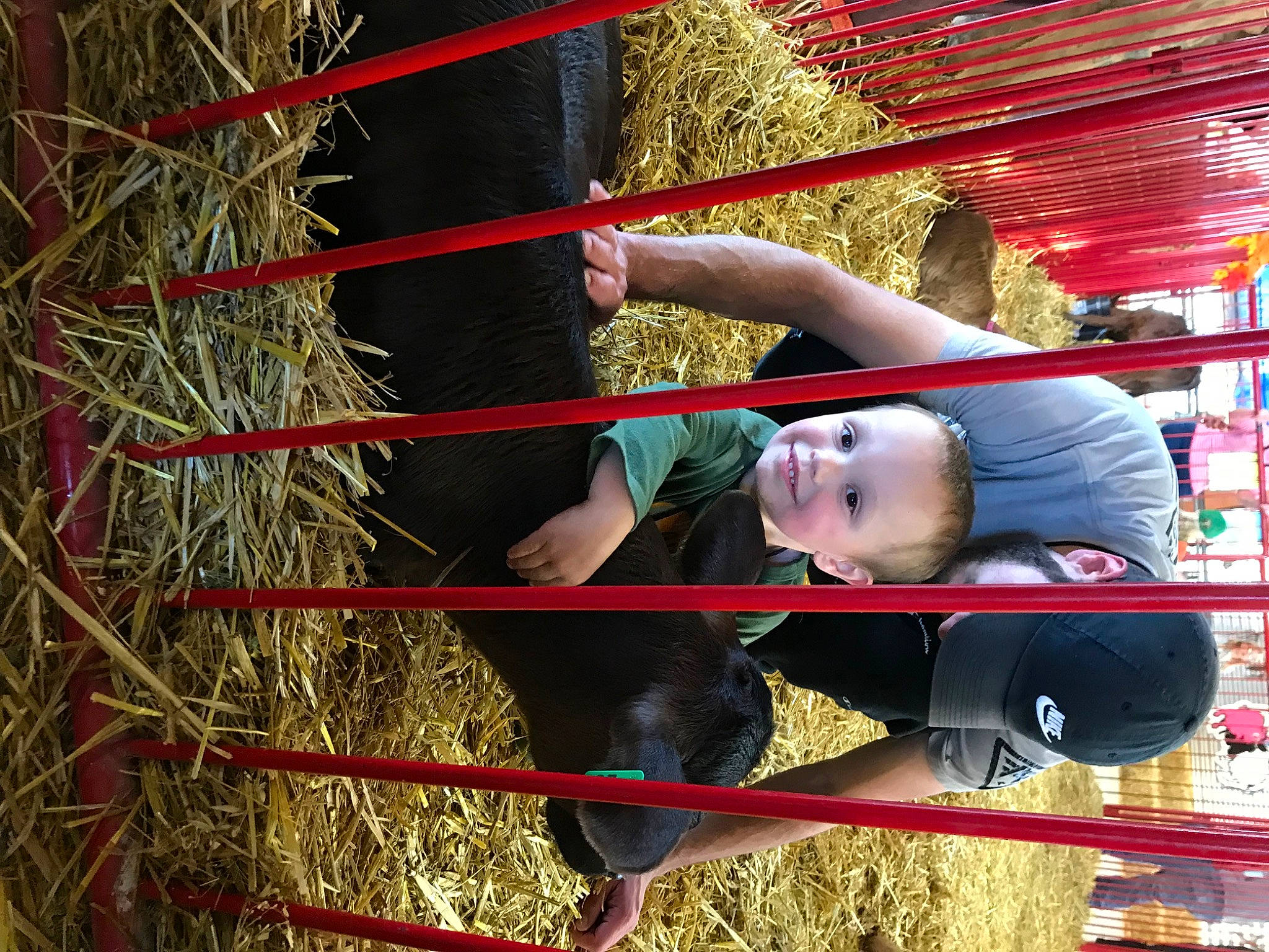James is registered to the contest to win money with this photo: child, city, fun, grass, hat, hay, human_leg, joy, leisure, magenta, person, plant, recreation, shorts, t_shirt, thigh, toddler, tree, wood