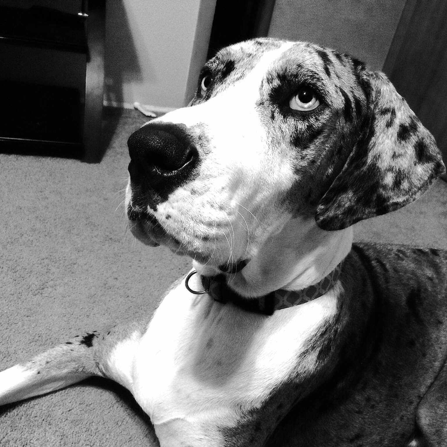 Mack is registered to the contest to win money with this photo: