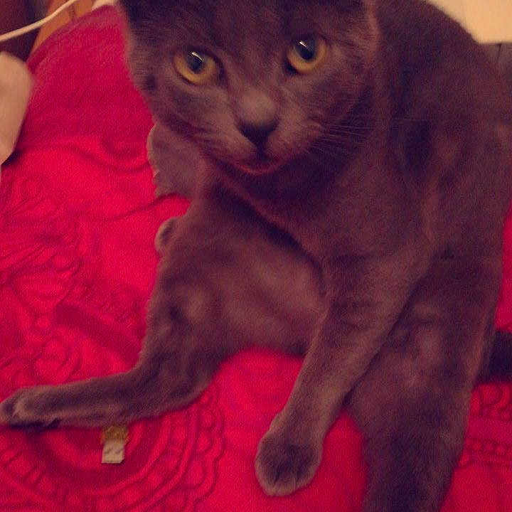 Martin
