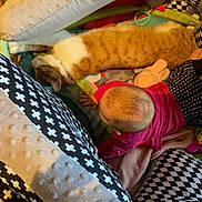 Garfield participe au concours pour gagner de l'argent avec cette photo : baby, black_and_white, cat, child, colorful, comfort, cozy, cushions, floor, head, home, indoor, orange_cat, patterned_fabric, pet, pink_clothing, play_mat, relaxing, resting, soft_toys