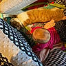 baby, black_and_white, cat, child, colorful, comfort, cozy, cushions, floor, head, home, indoor, orange_cat, patterned_fabric, pet, pink_clothing, play_mat, relaxing, resting, soft_toys