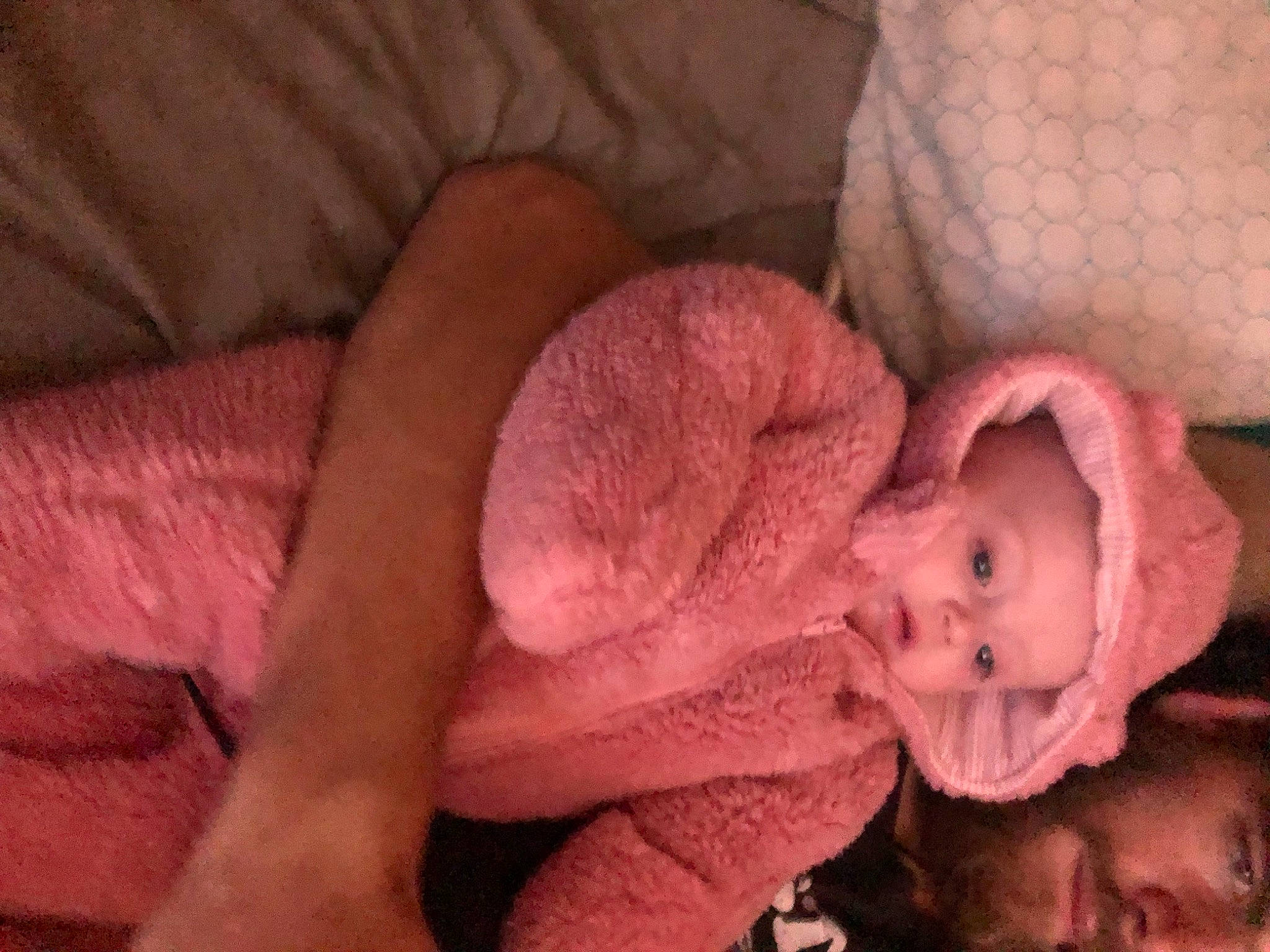 Gracelyn joined the competition — help win amazing prizes! art, baby, baby_products, baby_sleeping, baby_toddler_clothing, beanie, cheek, child, comfort, ear, eye, fashion_accessory, flesh, fur, human_body, linens, nail, person, sleeve, toddler