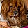 Sadie