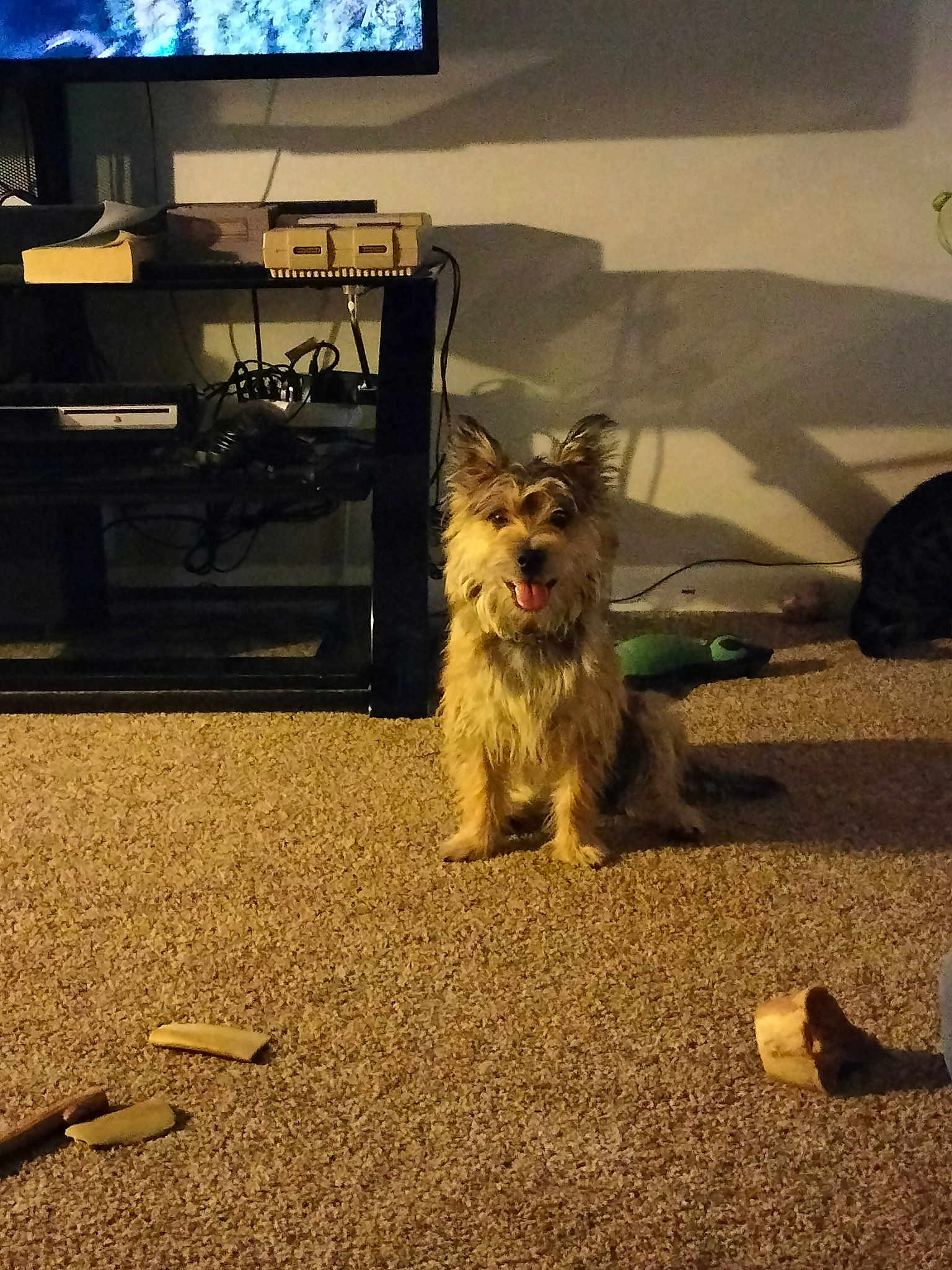 Peanut