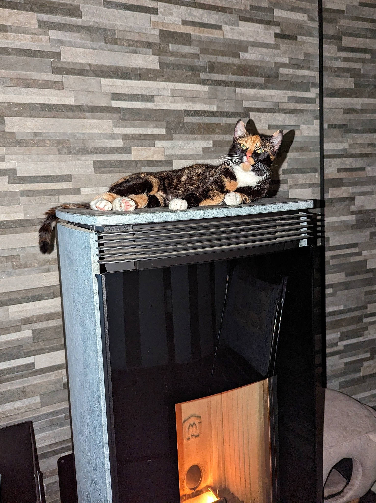 Tisha participe au concours pour gagner de l'argent avec cette photo : brick, brickwork, brown, carnivore, cat, domestic_short_haired_cat, felidae, fur, gas, hearth, heat, home_appliance, kitchen_appliance, pet_supply, room, small_to_medium_sized_cats, tail, whiskers, wood, wood_burning_stove
