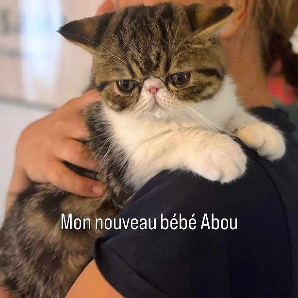 Abou
