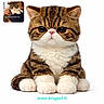 Abou participe au concours pour gagner de l'argent avec cette photo : cat, tabby, kitten, fluffy, pet, animal, cute, paws, portrait, white_background, close_up, feline, striped, young, small, sitting, eyes, nose, whiskers, pawpads