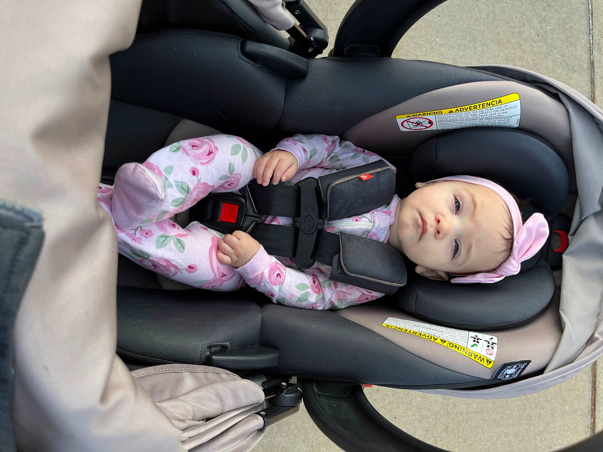 Ivy joined the competition — help win amazing prizes! arm, auto_part, automotive_design, automotive_exterior, automotive_tire, automotive_wheel_system, baby_carriage, baby_in_car_seat, baby_products, car_seat, car_seat_cover, child, comfort, head_restraint, headwear, motor_vehicle, person, tire, toddler, vehicle