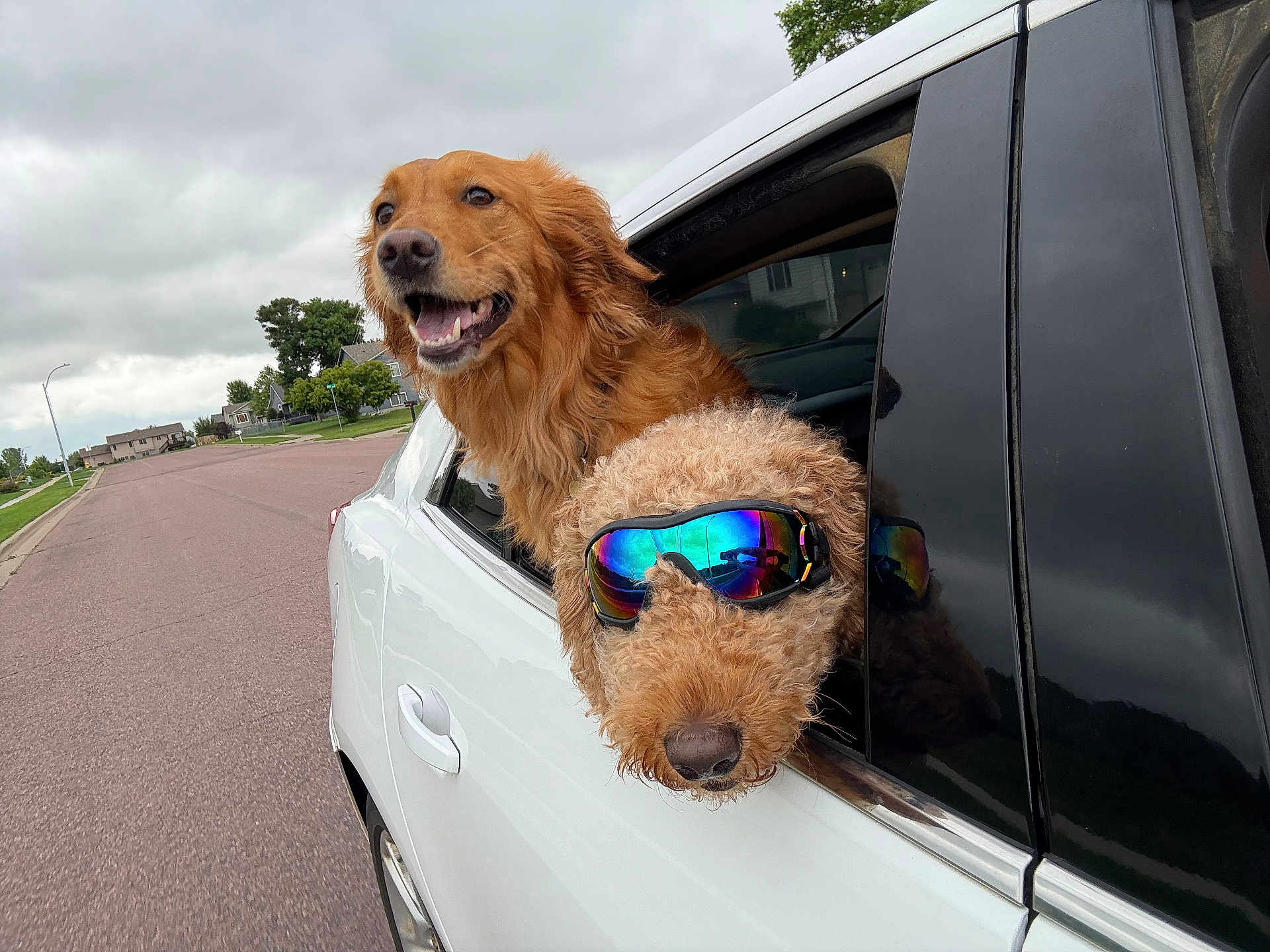 Koda And River