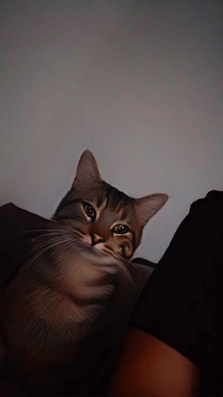 Django